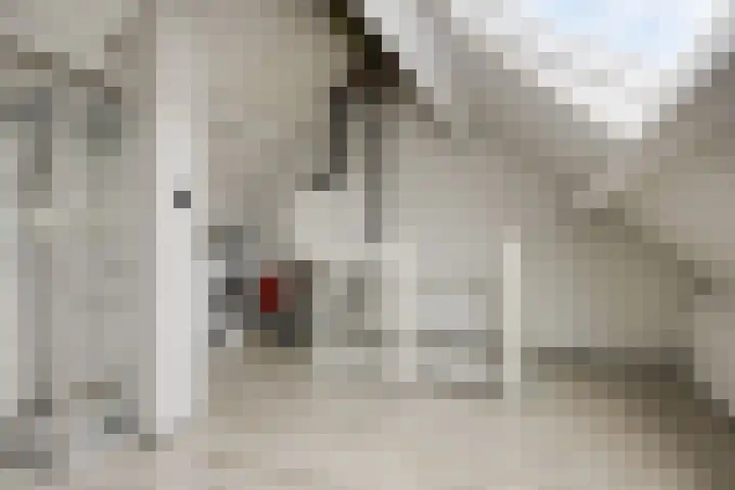 Olijfgaard 22 Spijkenisse thumbnail 25