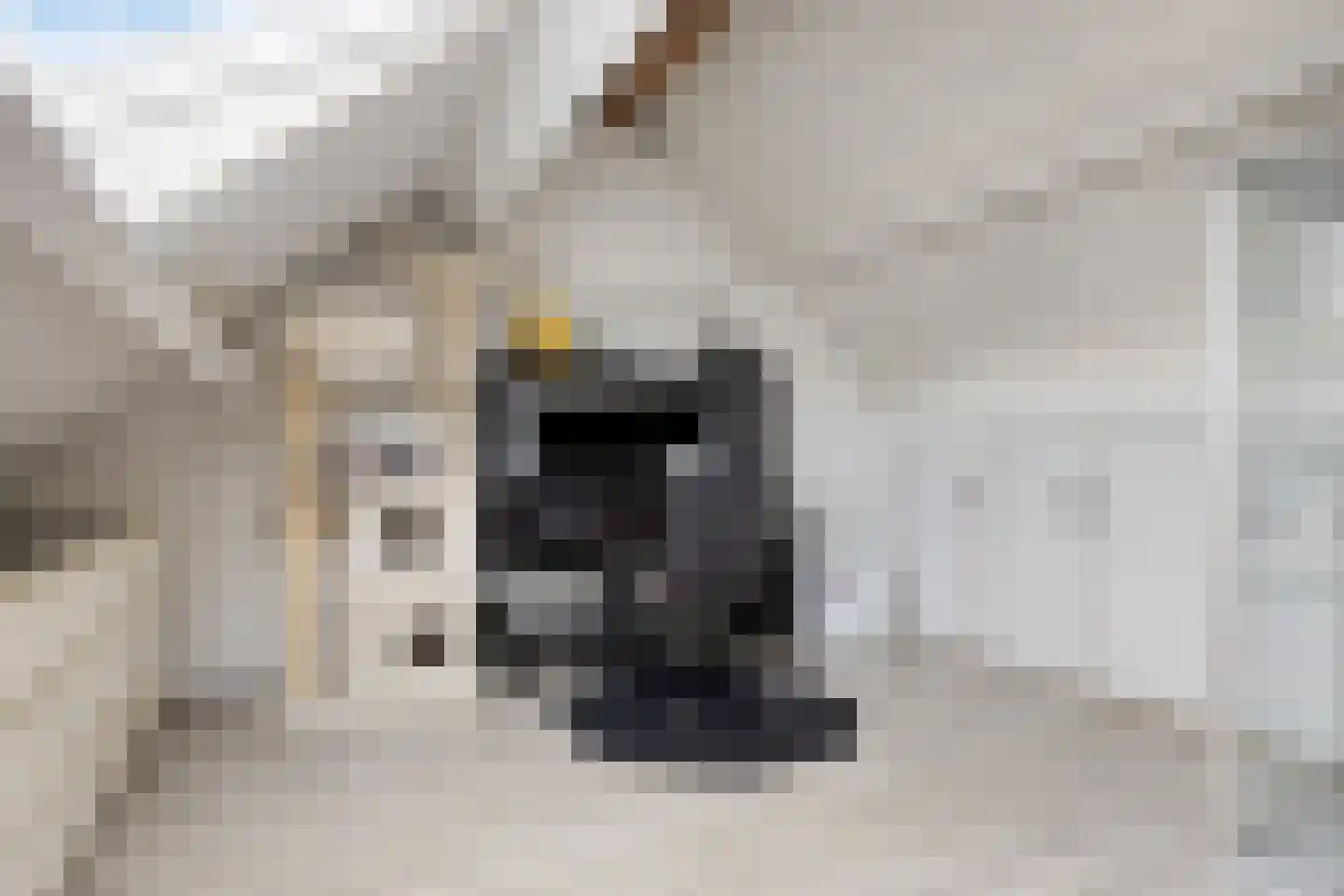 Olijfgaard 22 Spijkenisse thumbnail 26