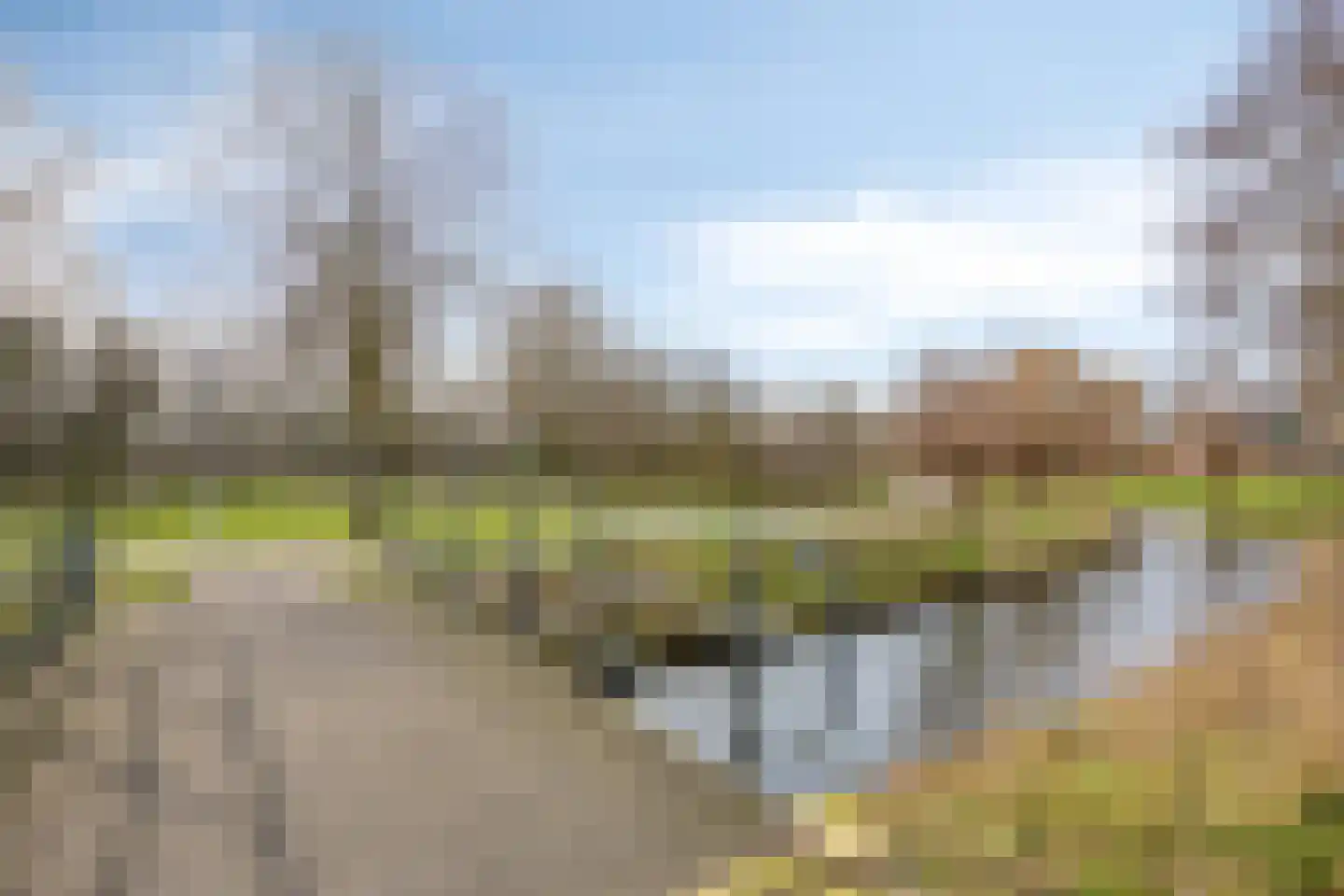 Olijfgaard 22 Spijkenisse thumbnail 27