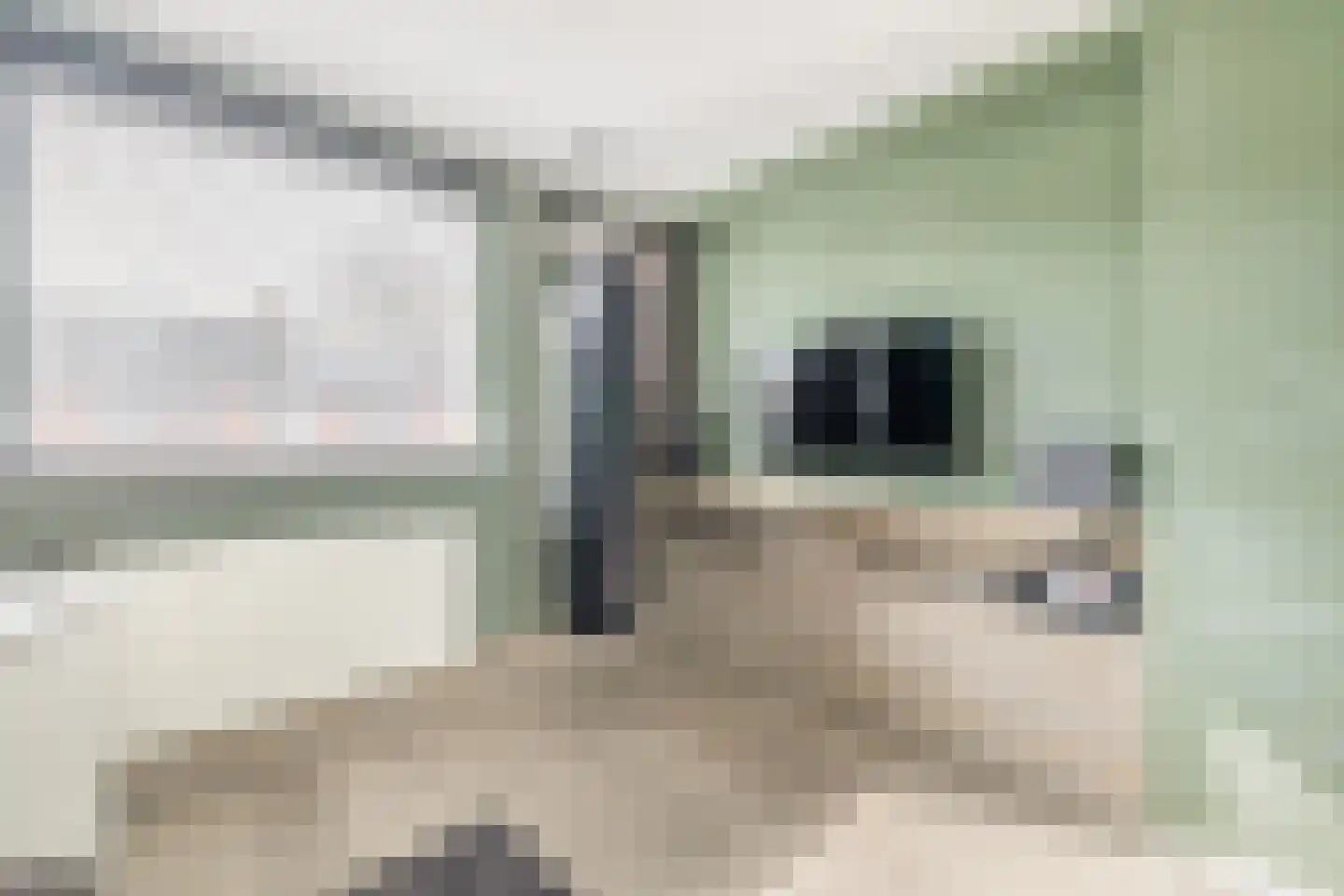 Olijfgaard 26 Spijkenisse thumbnail 28