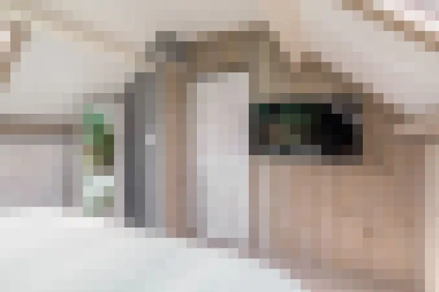 Olijfgaard 26 Spijkenisse thumbnail 35