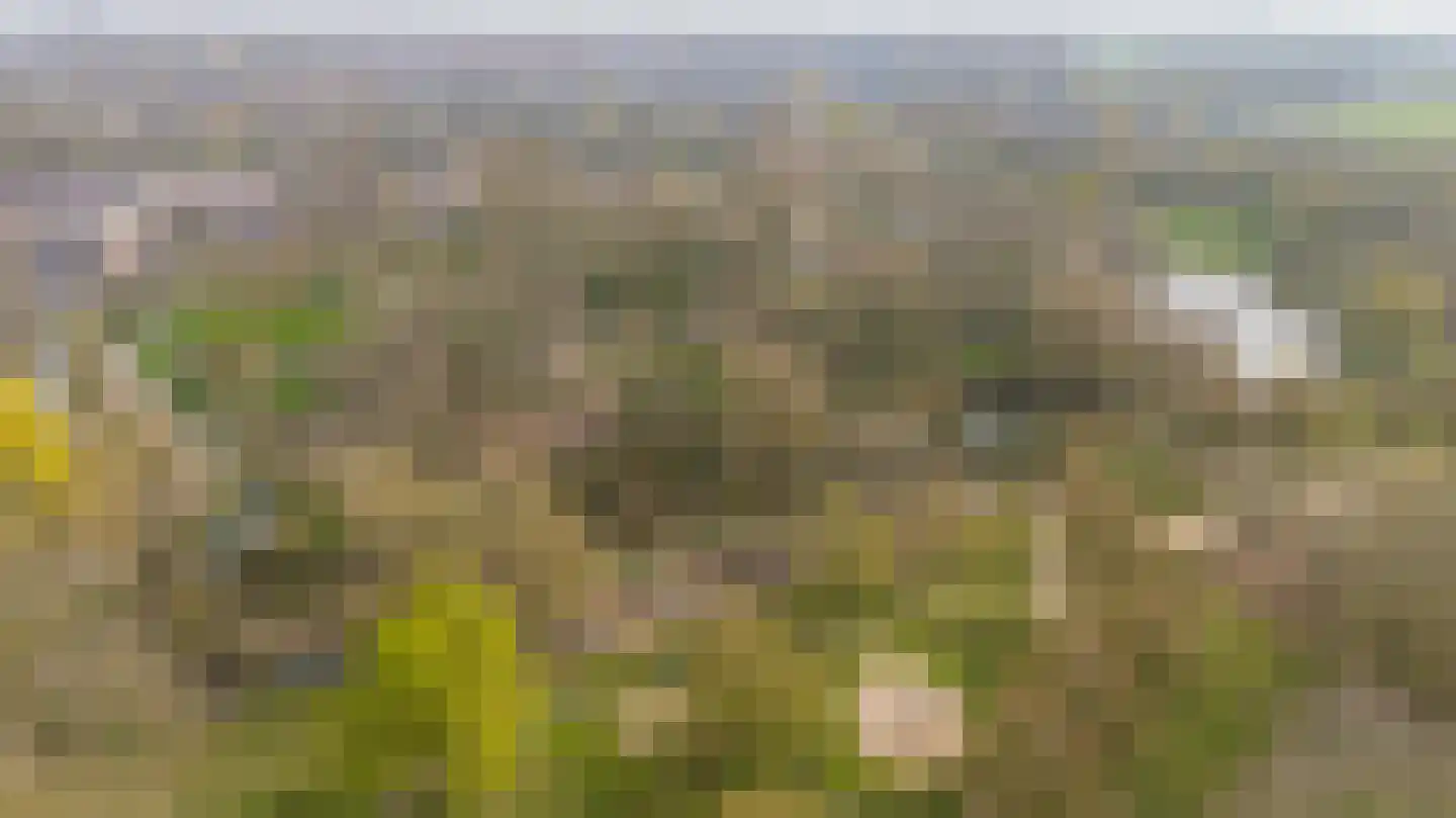 Olijfgaard 26 Spijkenisse thumbnail 41