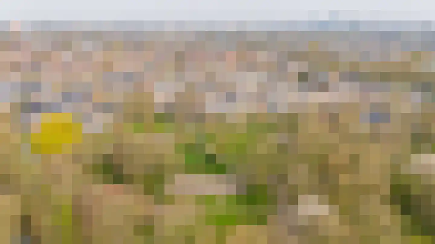 Olijfgaard 26 Spijkenisse thumbnail 42