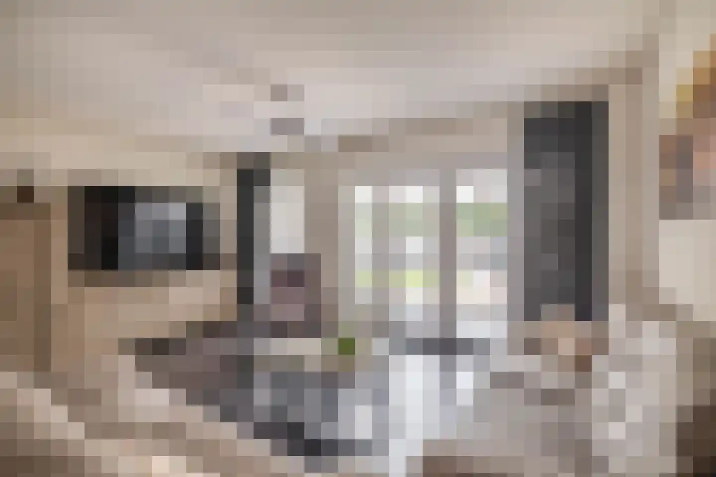 Olijfgaard 31 Spijkenisse thumbnail 13