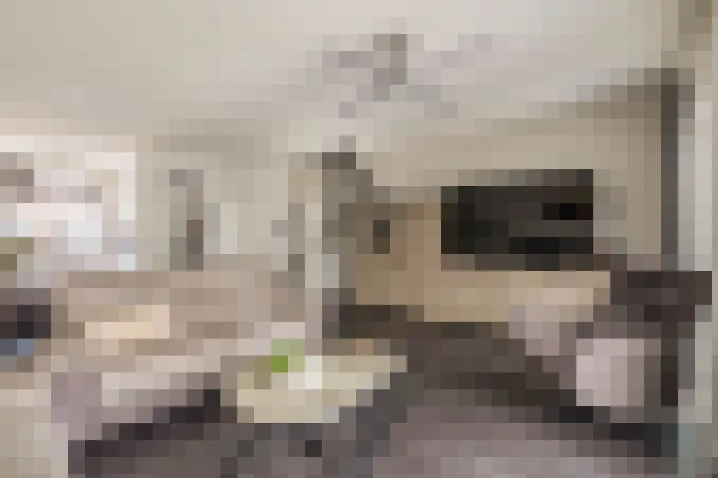 Olijfgaard 31 Spijkenisse thumbnail 15