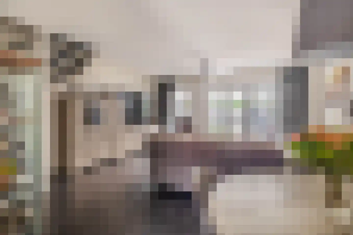 Olijfgaard 31 Spijkenisse thumbnail 18