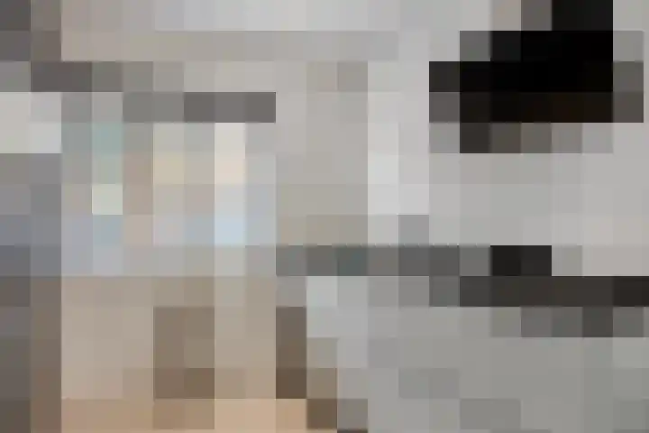 Olijfgaard 41 Spijkenisse thumbnail 10