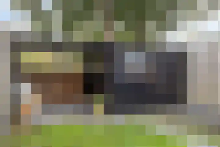 Olijfgaard 41 Spijkenisse thumbnail 16