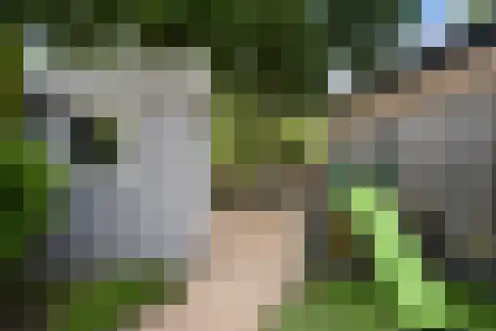 Olijfgaard 43 Spijkenisse thumbnail 15