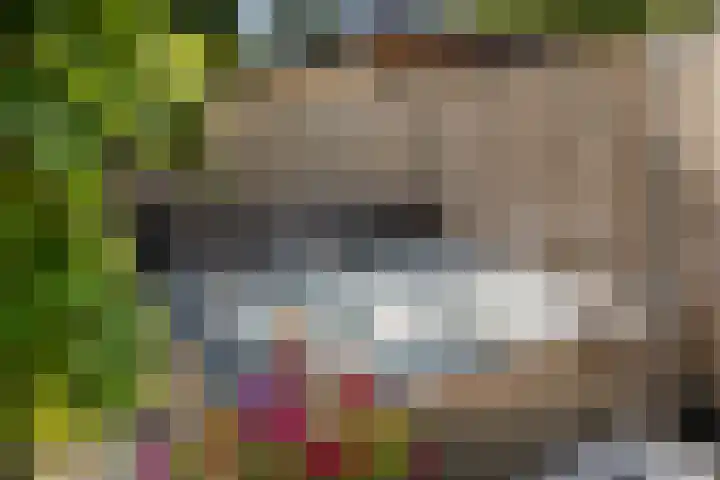 Olijfgaard 43 Spijkenisse thumbnail 16