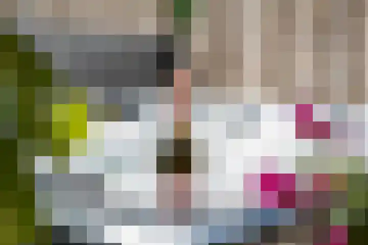 Olijfgaard 43 Spijkenisse thumbnail 17