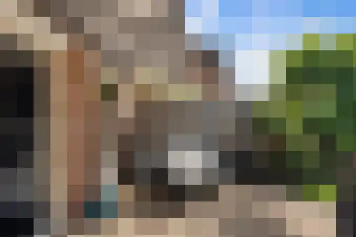 Olijfgaard 43 Spijkenisse thumbnail 18