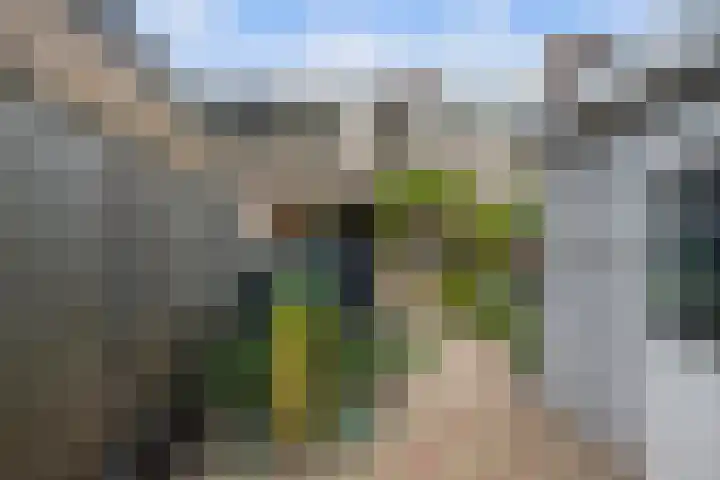 Olijfgaard 43 Spijkenisse thumbnail 19