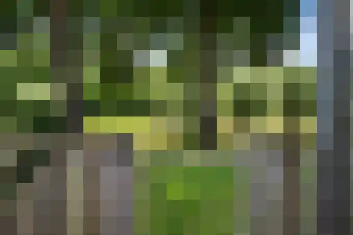 Olijfgaard 43 Spijkenisse thumbnail 20