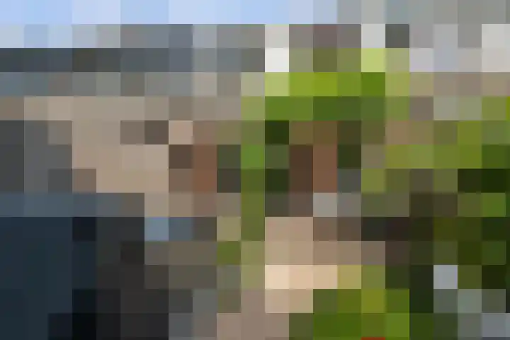 Olijfgaard 43 Spijkenisse thumbnail 35