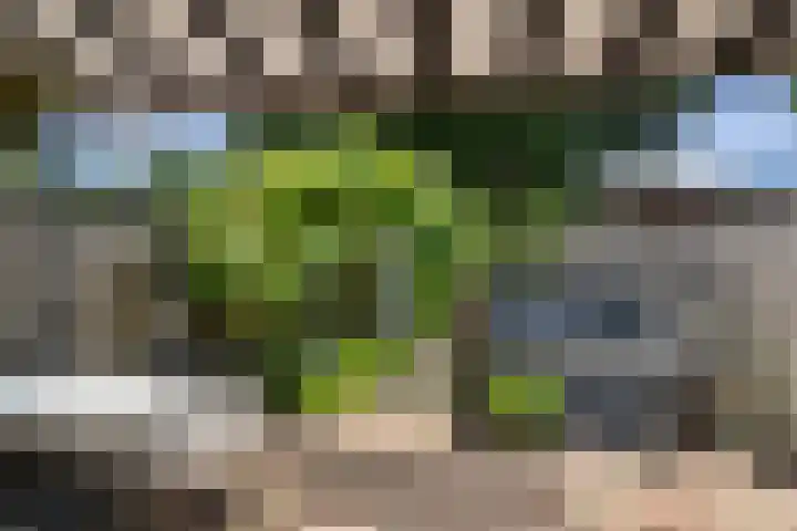 Olijfgaard 43 Spijkenisse thumbnail 4