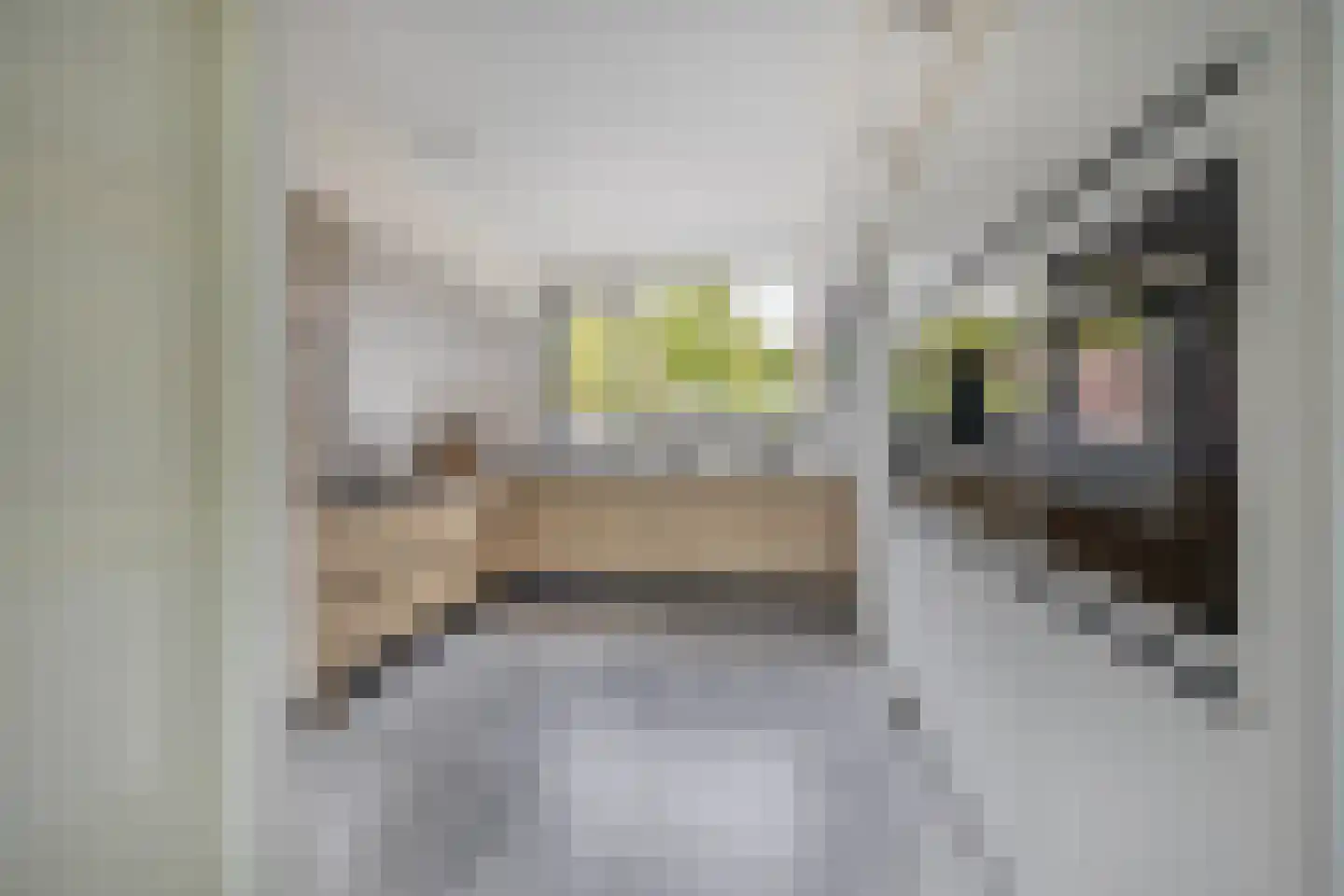 Olijfgaarde 49 Zoetermeer thumbnail 14