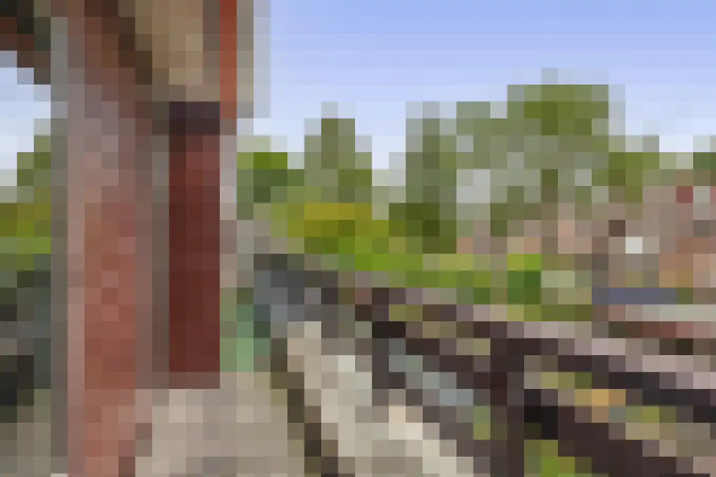 Olijfgaarde 49 Zoetermeer thumbnail 21