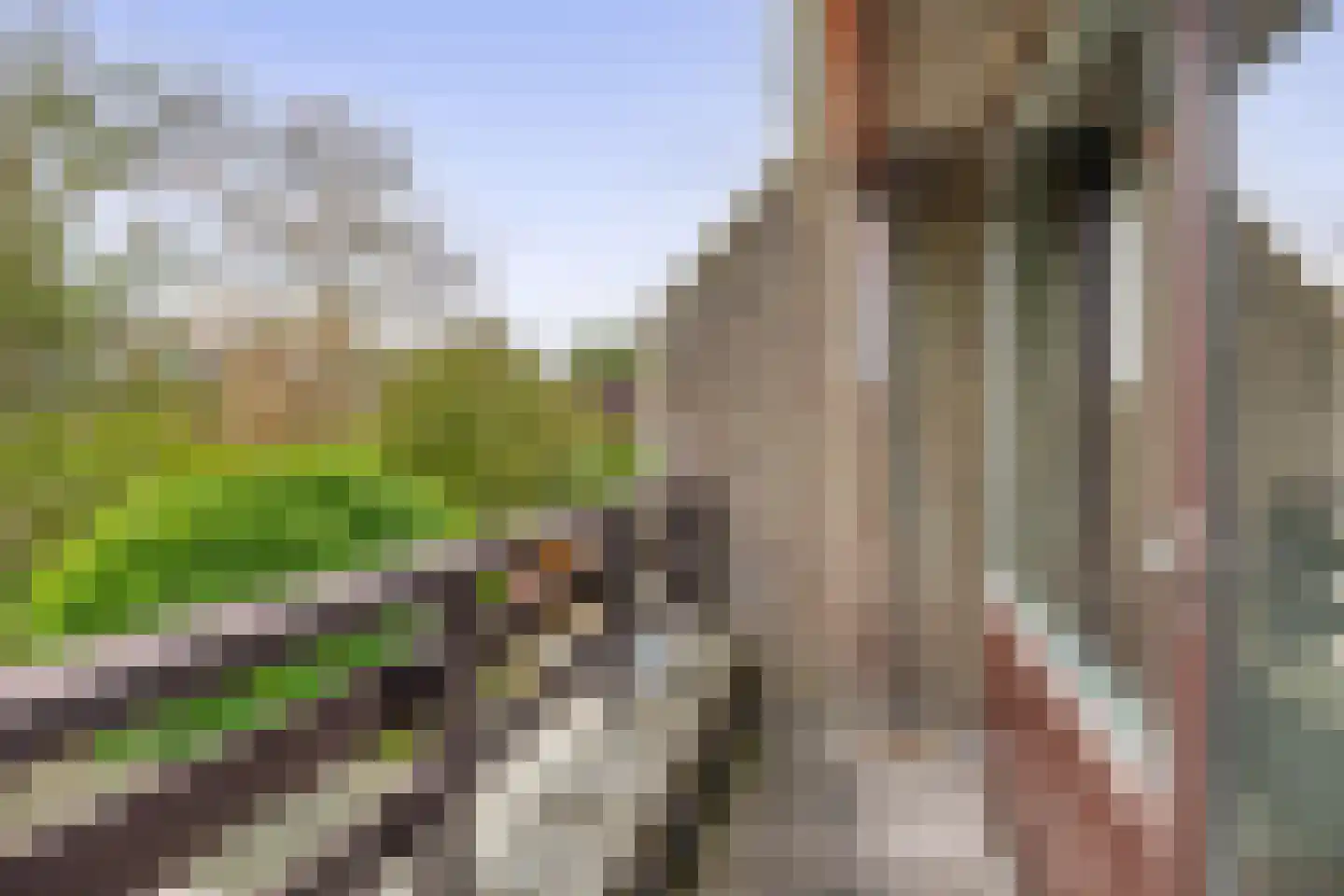 Olijfgaarde 49 Zoetermeer thumbnail 22
