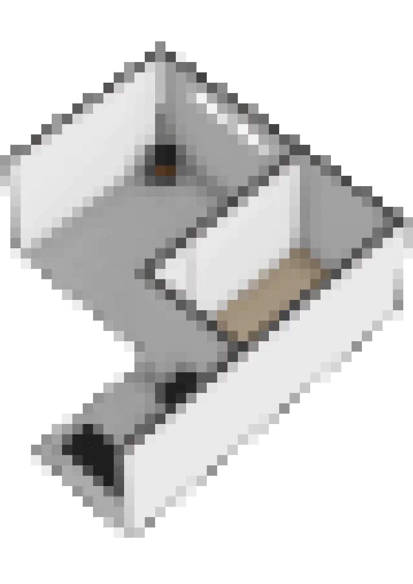 Olijfgaarde 49 Zoetermeer thumbnail 46