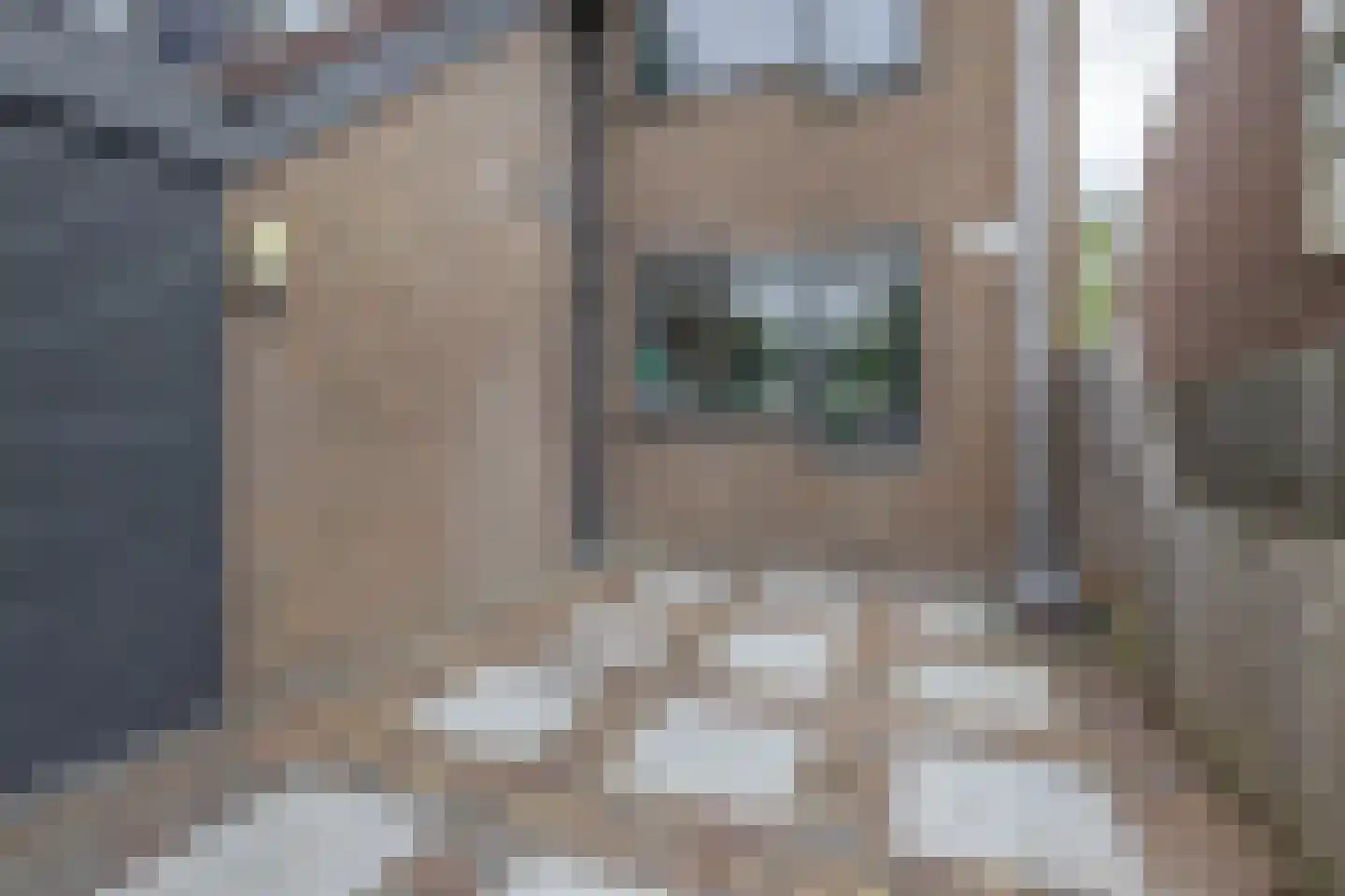 Olijfgaarde 49 Zoetermeer thumbnail 6