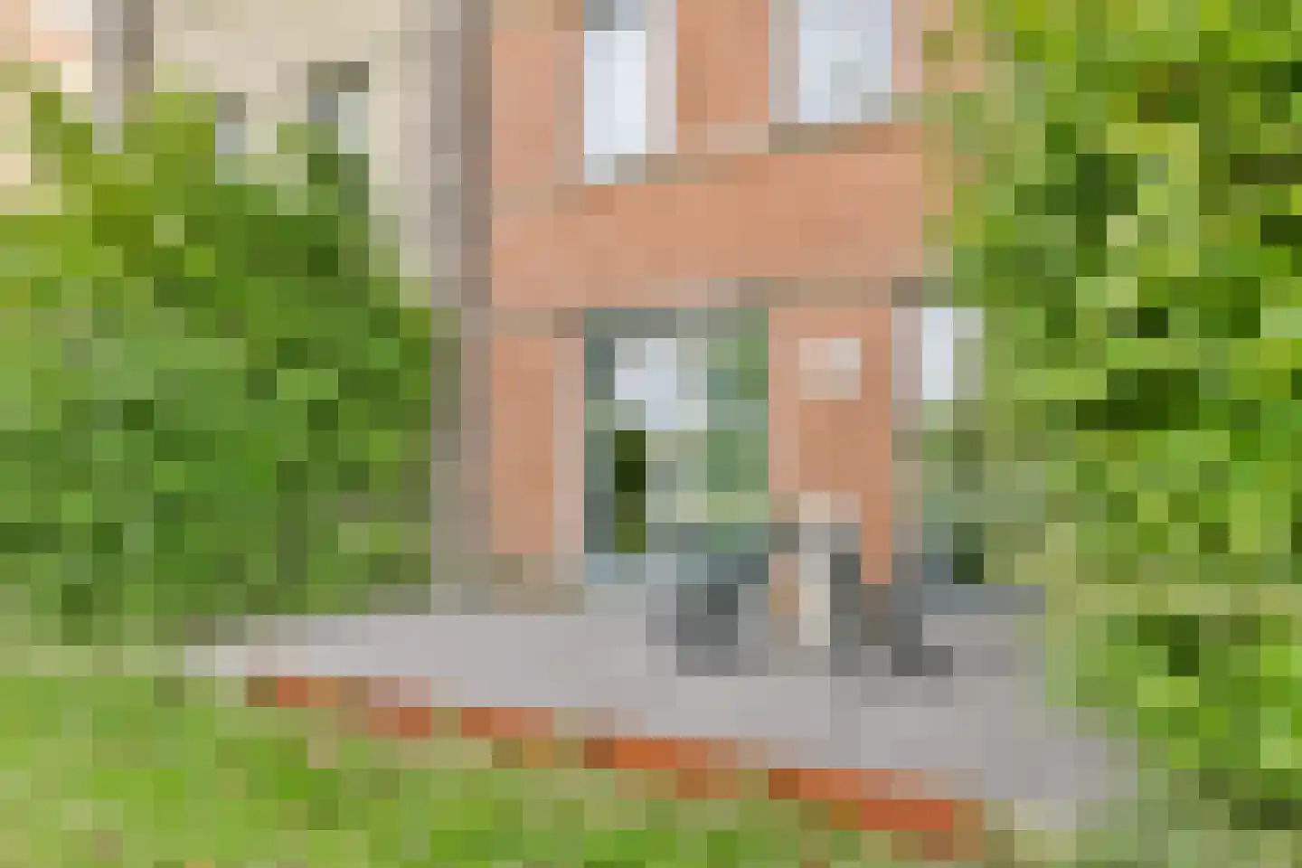 Olijfhout 18 Barendrecht thumbnail 15