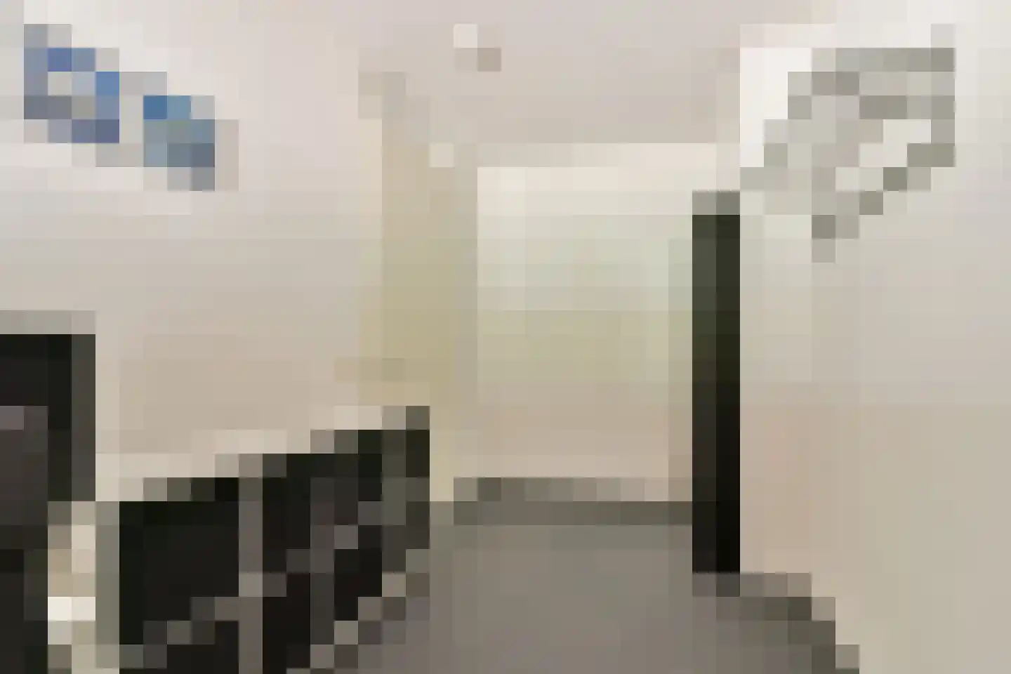 Olijfhout 18 Barendrecht thumbnail 17
