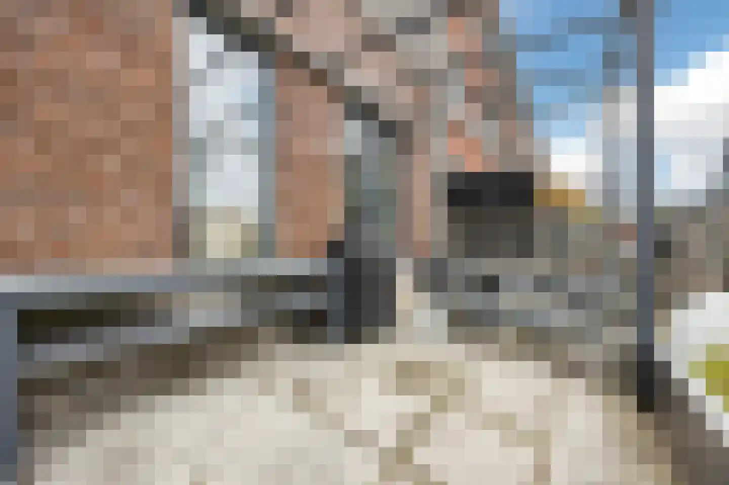 Olijfhout 19 Barendrecht thumbnail 53