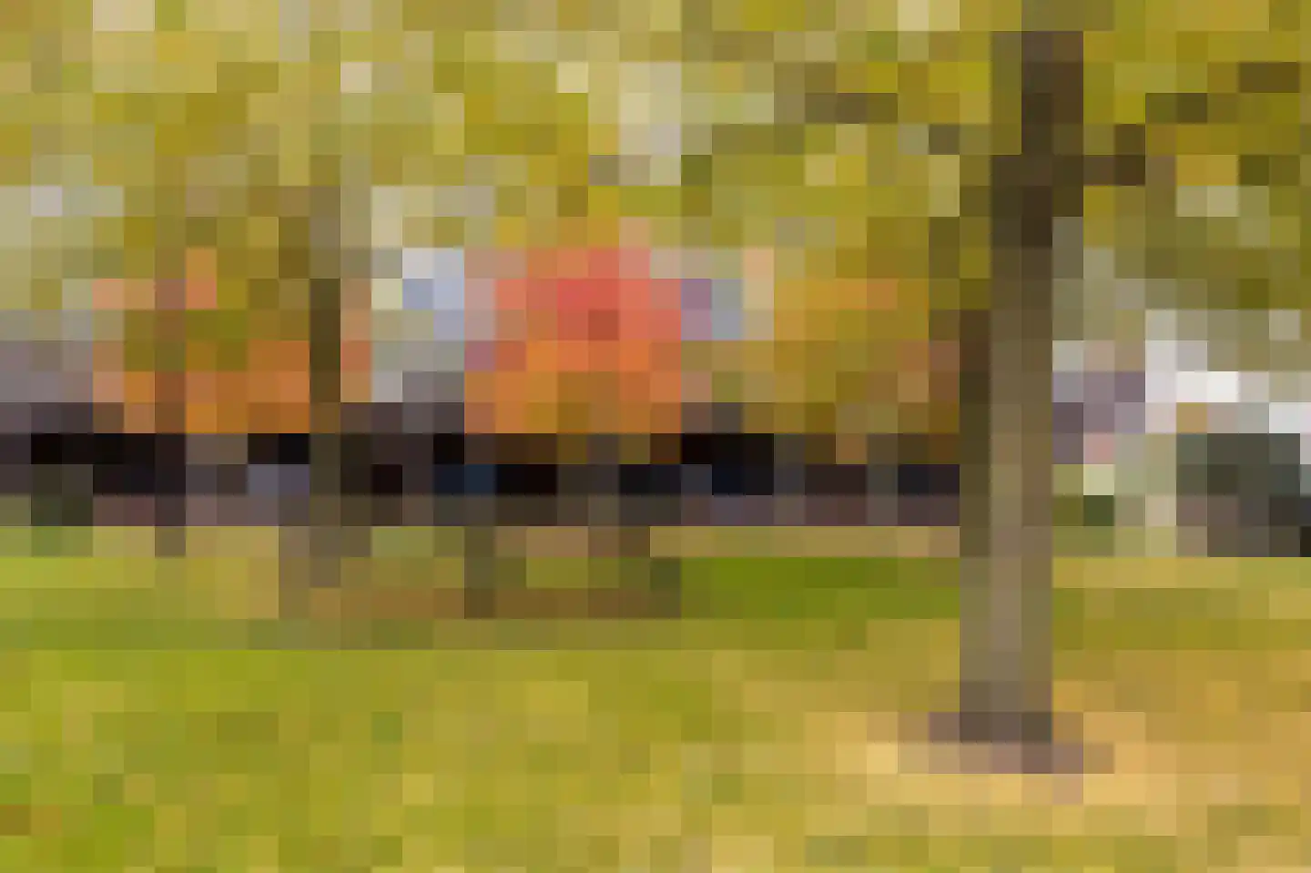 Olijfhout 19 Barendrecht thumbnail 67