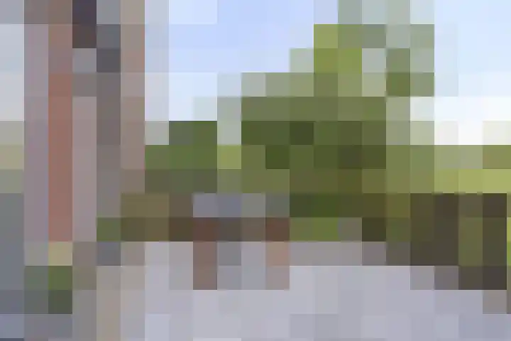 Olijfhout 30 Barendrecht thumbnail 12