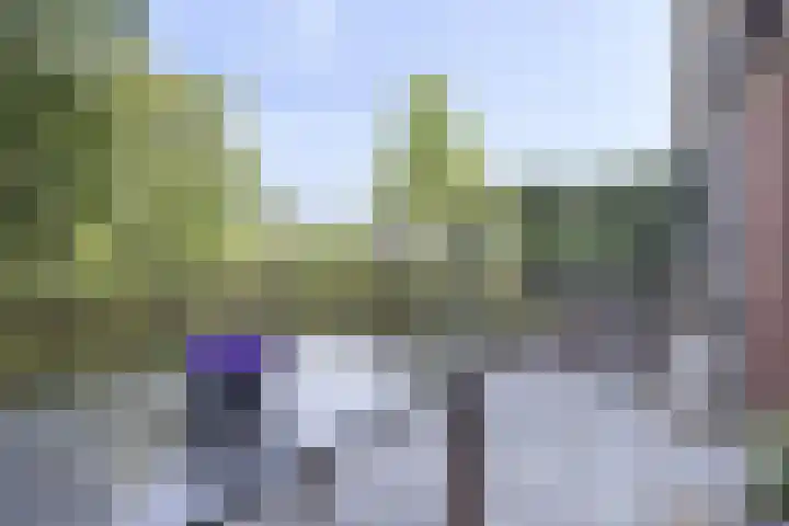 Olijfhout 30 Barendrecht thumbnail 13