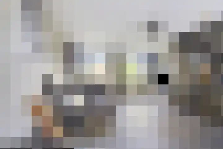 Olijfhout 30 Barendrecht thumbnail 14