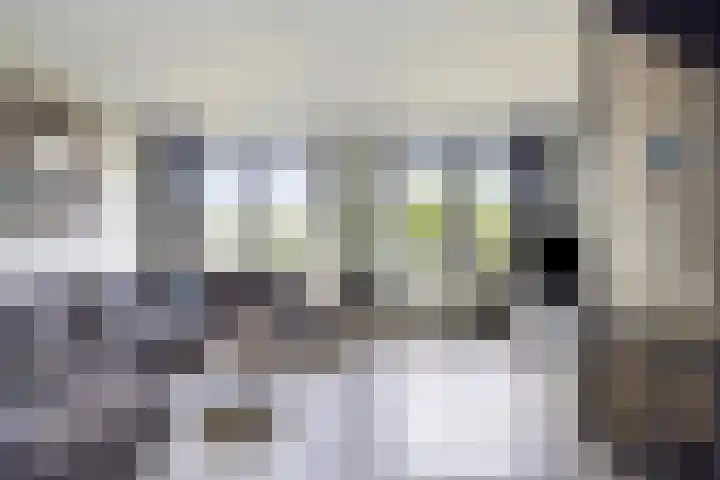 Olijfhout 30 Barendrecht thumbnail 15