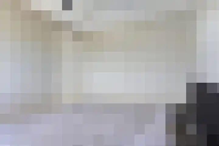Olijfhout 30 Barendrecht thumbnail 23