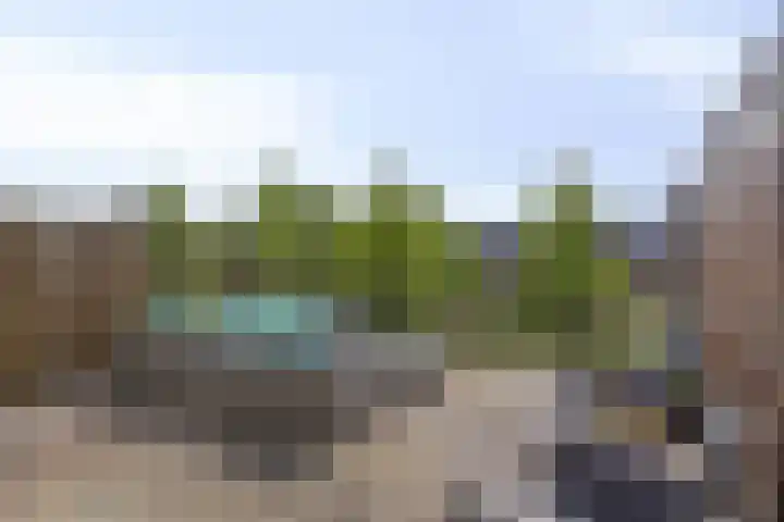 Olijfhout 30 Barendrecht thumbnail 4