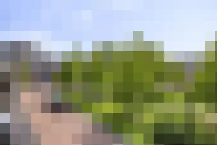 Olijfhout 30 Barendrecht thumbnail 5
