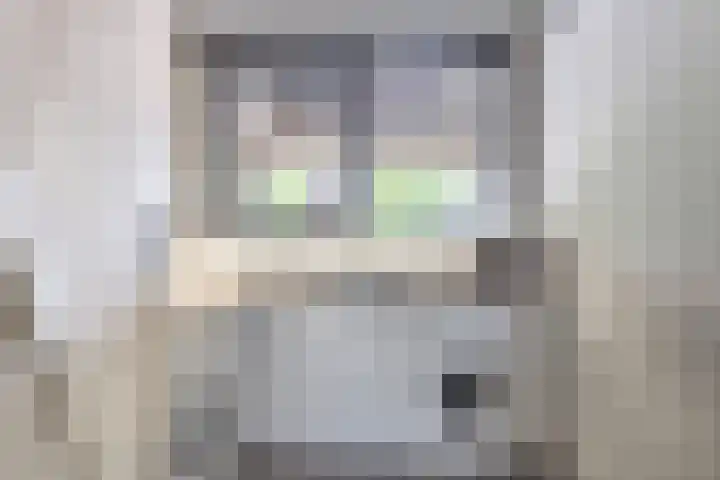 Olijfhout 30 Barendrecht thumbnail 8