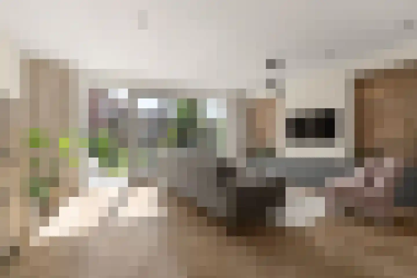 Olijfhout 43 Waddinxveen thumbnail 17