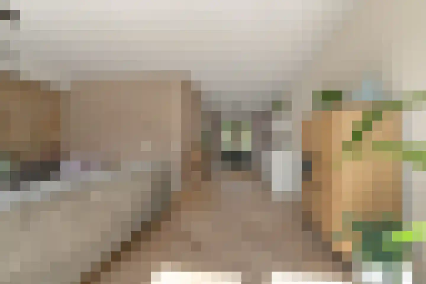 Olijfhout 43 Waddinxveen thumbnail 21