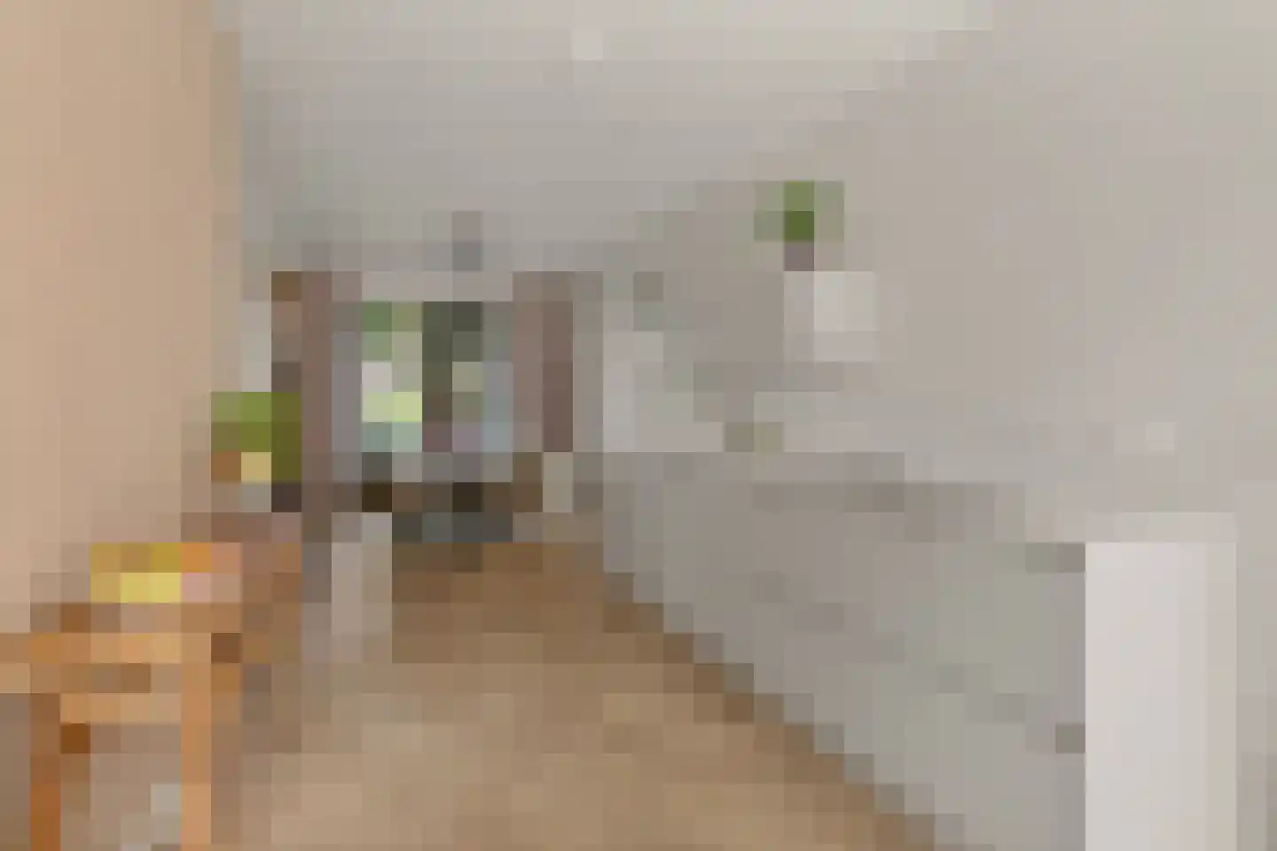 Olijfhout 43 Waddinxveen thumbnail 22