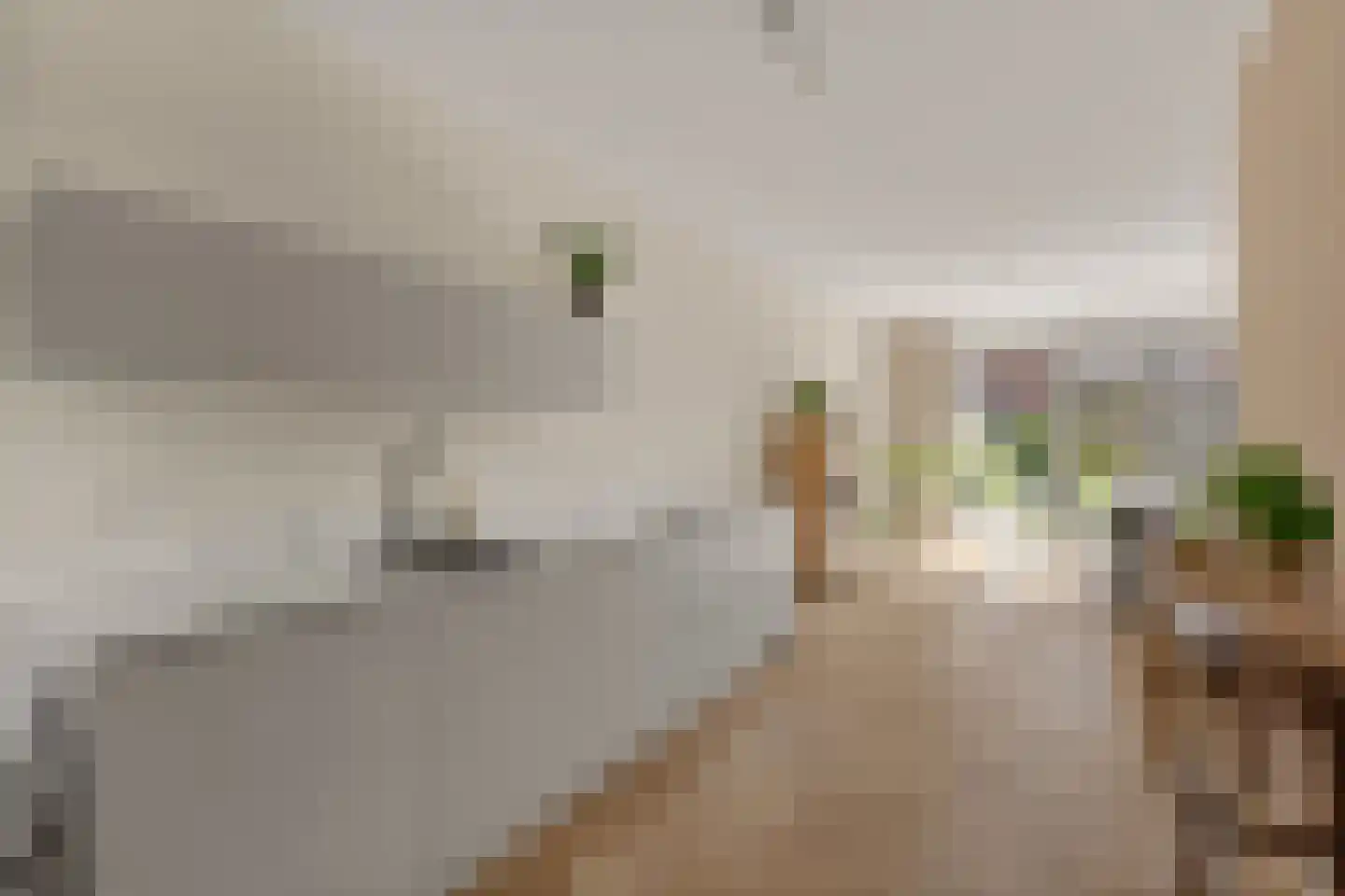 Olijfhout 43 Waddinxveen thumbnail 25