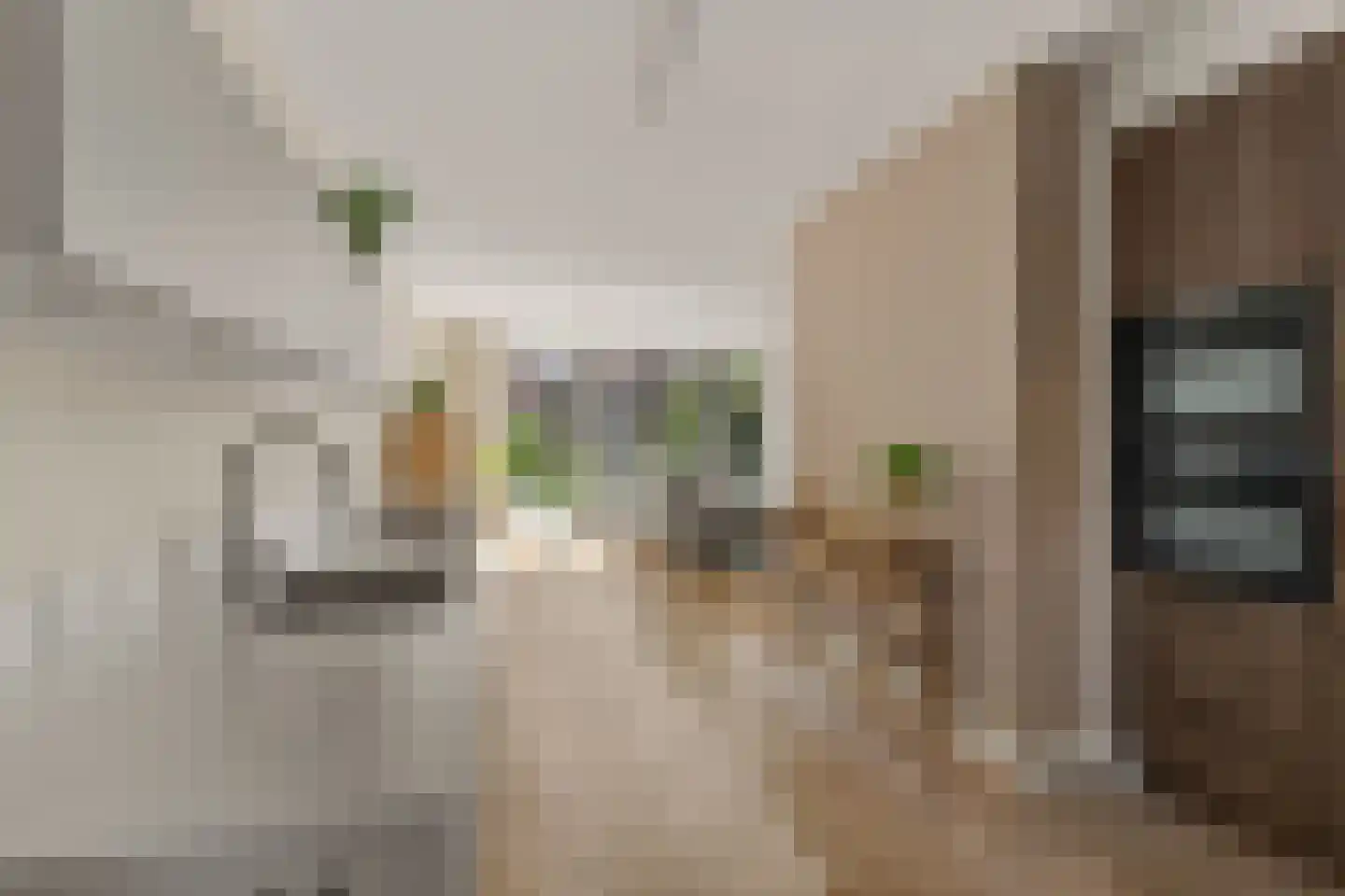 Olijfhout 43 Waddinxveen thumbnail 26