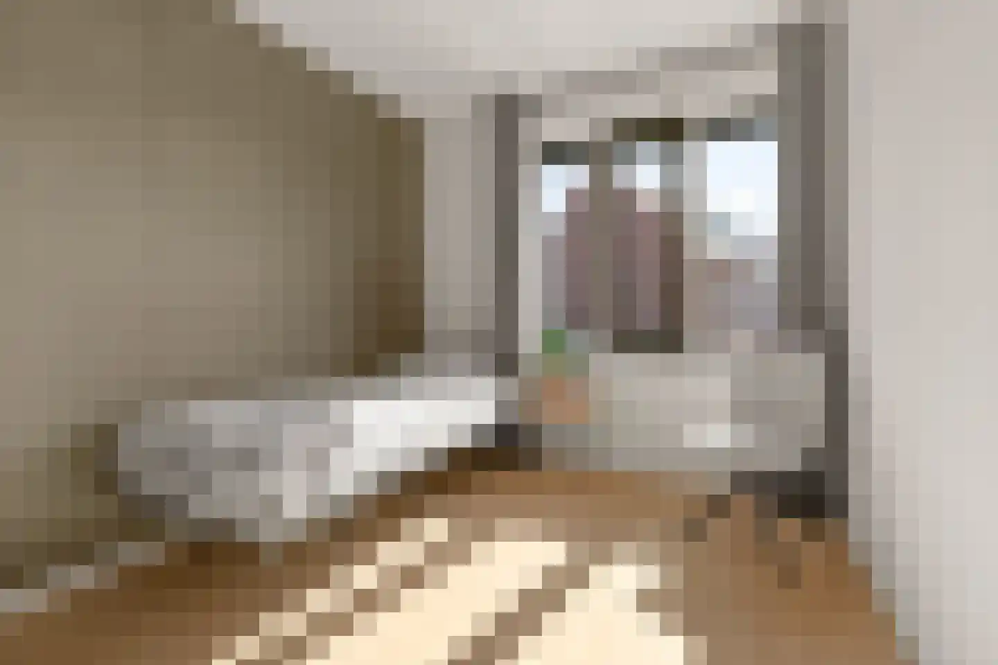 Olijfhout 43 Waddinxveen thumbnail 32
