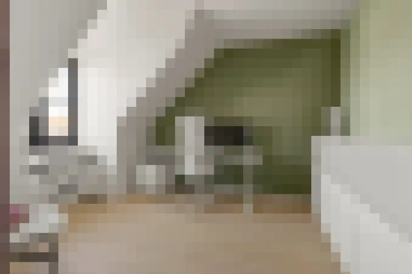 Olijfhout 43 Waddinxveen thumbnail 43