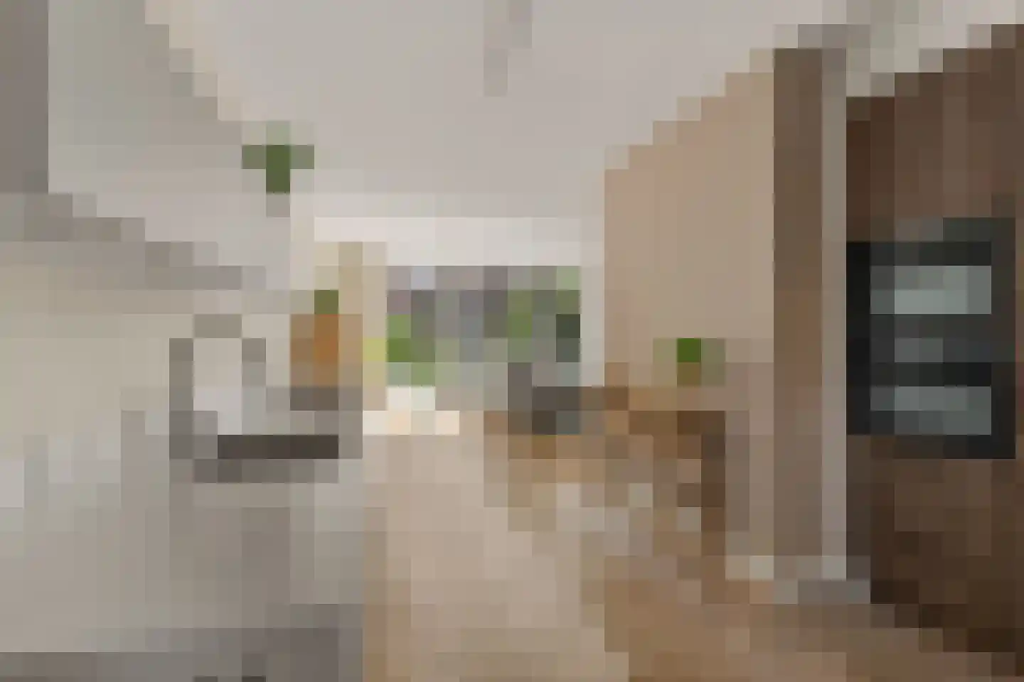 Olijfhout 43 Waddinxveen thumbnail 6