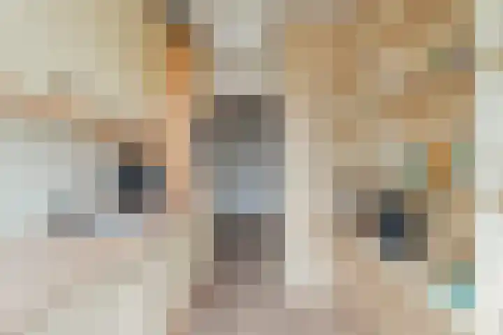 Olijflaan 29 Rotterdam thumbnail 11