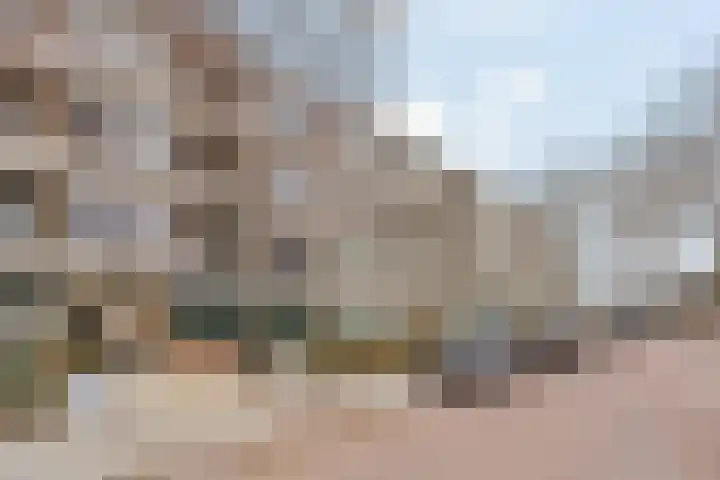 Olijflaan 29 Rotterdam thumbnail 25