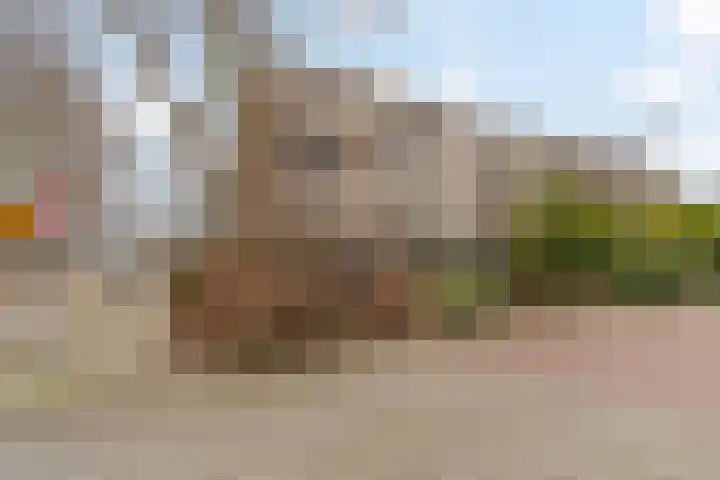 Olijflaan 29 Rotterdam thumbnail 26