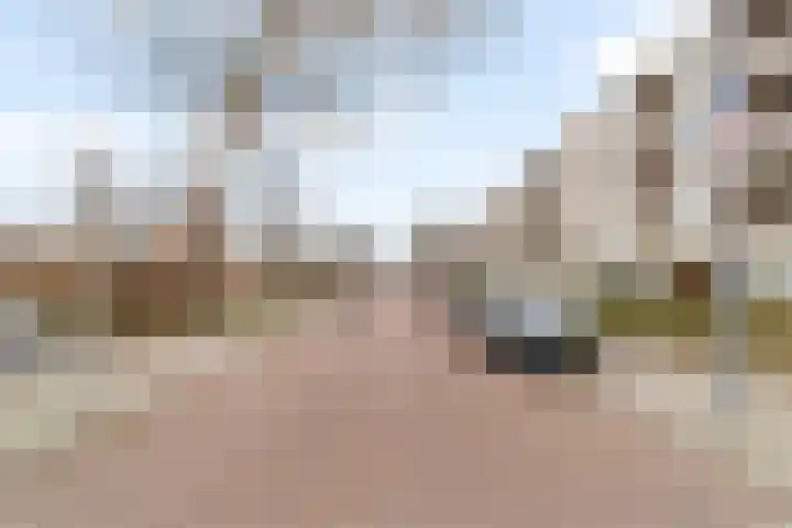 Olijflaan 29 Rotterdam thumbnail 27