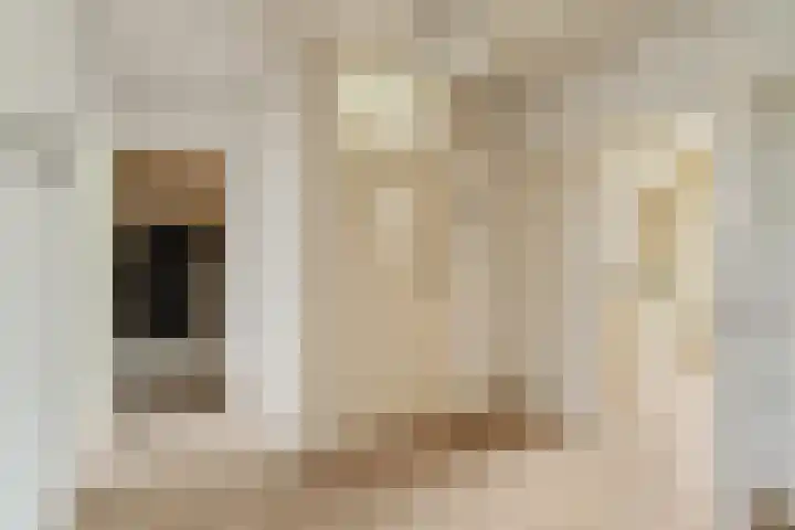 Olijflaan 29 Rotterdam thumbnail 5